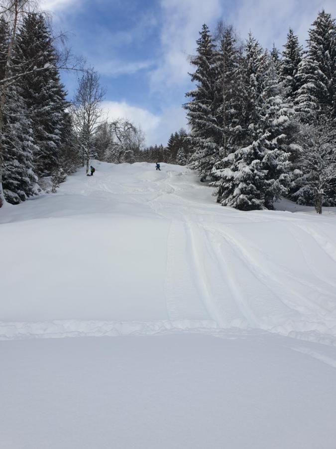 Chalet Chapeau Rar Castel Condino Zewnętrze zdjęcie