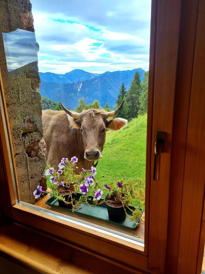Chalet Chapeau Rar Castel Condino Zewnętrze zdjęcie