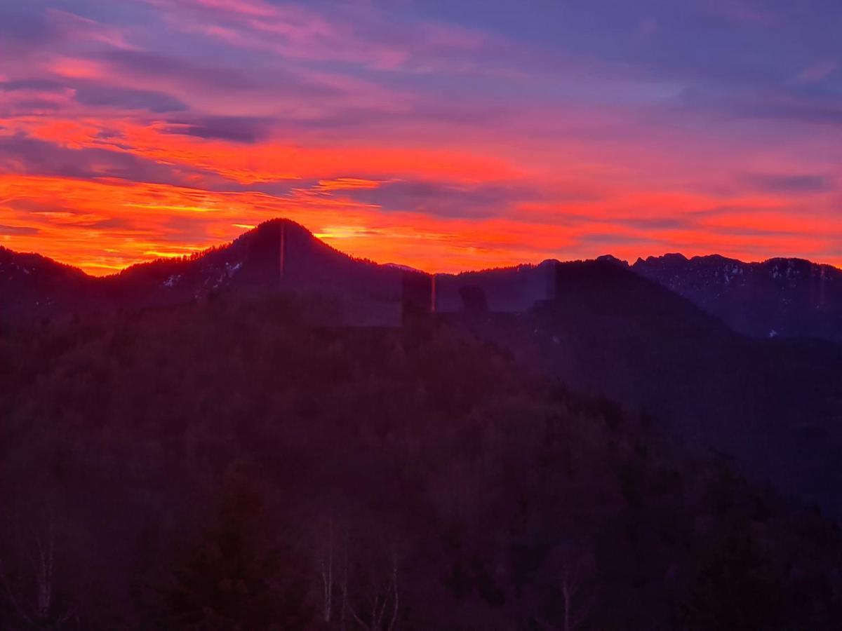 Chalet Chapeau Rar Castel Condino Zewnętrze zdjęcie