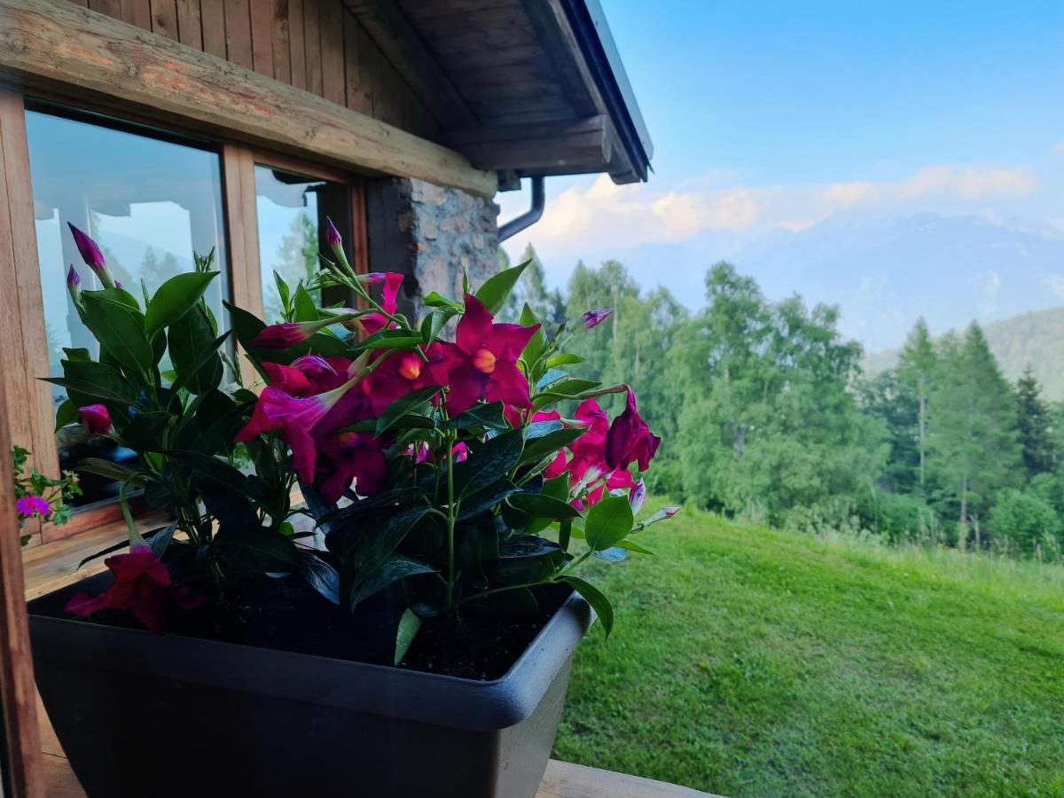 Chalet Chapeau Rar Castel Condino Zewnętrze zdjęcie